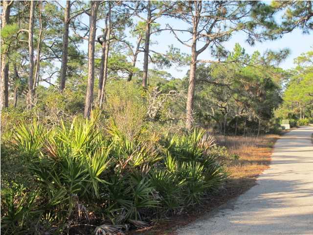 1548 LEISURE LN, ST. George Island, FL 32328
