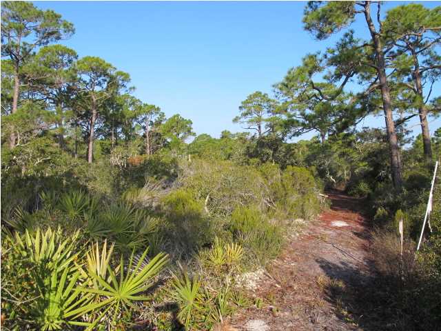 1548 LEISURE LN, ST. George Island, FL 32328