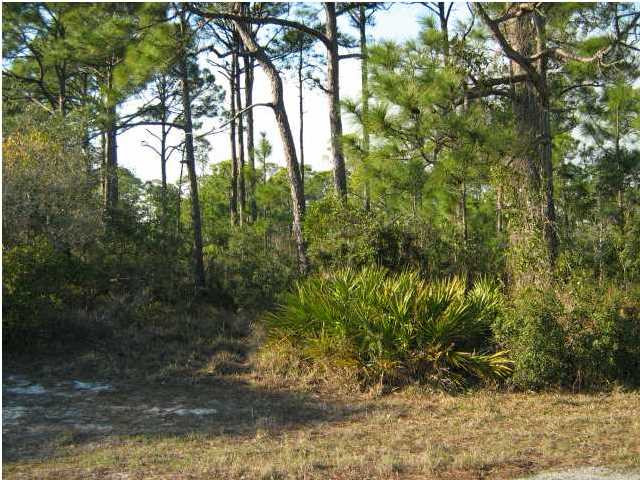 1448 BLUEBERRY LN, ST. George Island, FL 32328