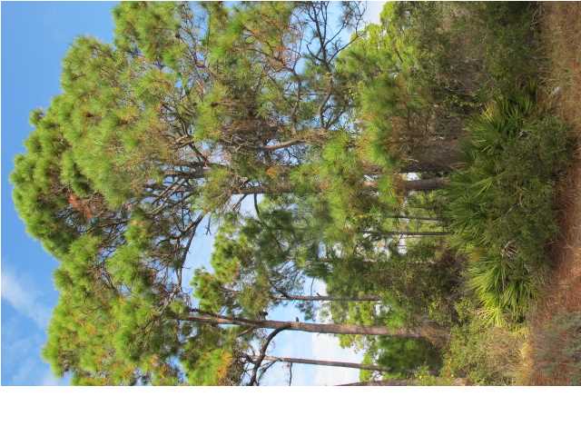 1448 BLUEBERRY LN, ST. George Island, FL 32328