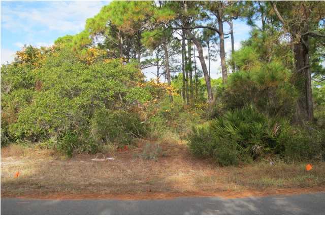1448 BLUEBERRY LN, ST. George Island, FL 32328