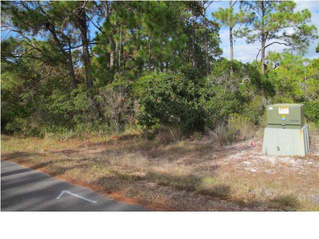 1448 BLUEBERRY LN, ST. George Island, FL 32328