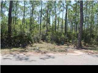 1439 DOVE LN, ST. George Island, FL 32328