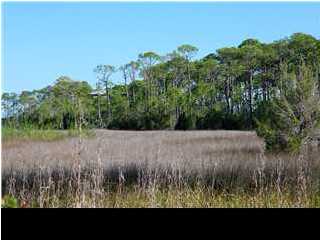 1439 DOVE LN, ST. George Island, FL 32328