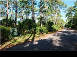 1439 DOVE LN, ST. George Island, FL 32328