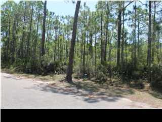 1439 DOVE LN, ST. George Island, FL 32328