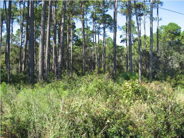 3262 HWY 98, Eastpoint, FL 32328