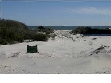 2036 WHELK CT, ST. George Island, FL 32328