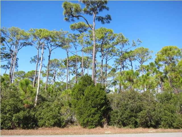 1839 BAYVIEW DR, ST. George Island, FL 32328