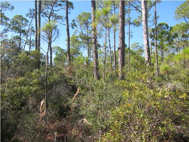 1839 BAYVIEW DR, ST. George Island, FL 32328