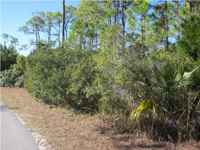 1839 BAYVIEW DR, ST. George Island, FL 32328