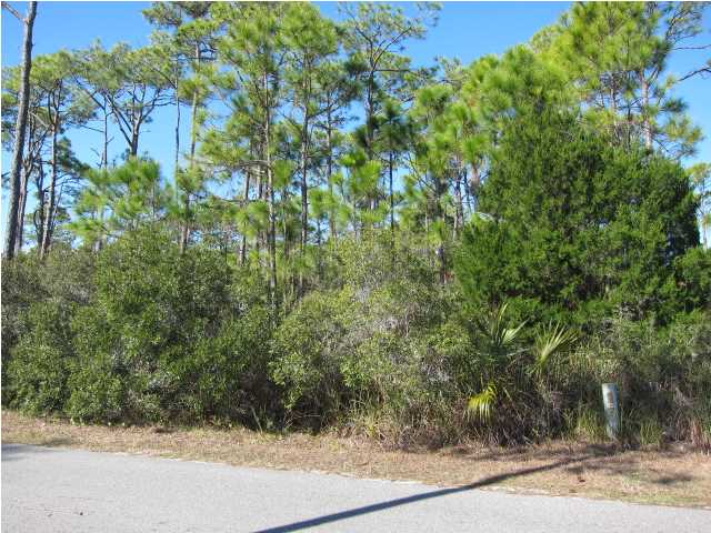 1839 BAYVIEW DR, ST. George Island, FL 32328