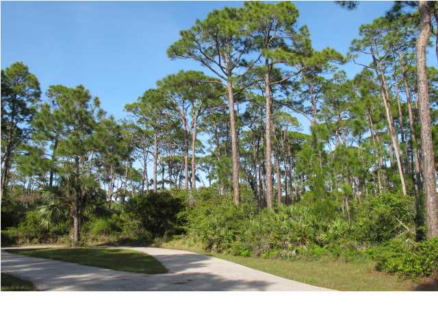 1615 GANNETT CT, ST. George Island, FL 32328