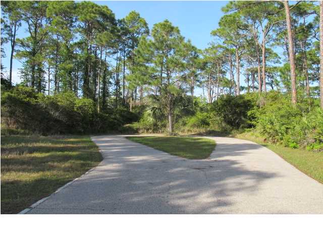 1615 GANNETT CT, ST. George Island, FL 32328