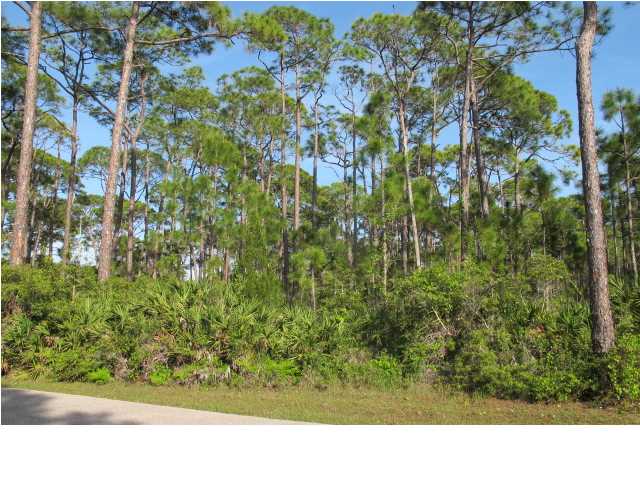 1615 GANNETT CT, ST. George Island, FL 32328
