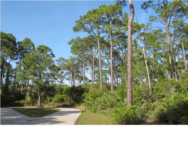 1615 GANNETT CT, ST. George Island, FL 32328