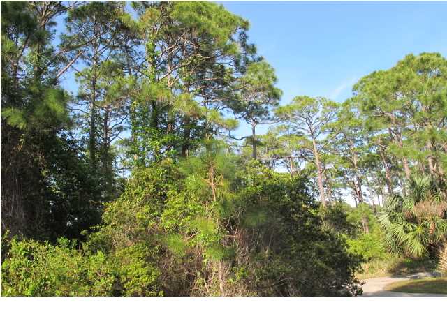 1615 GANNETT CT, ST. George Island, FL 32328