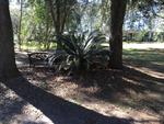 295 TOBACCO RD