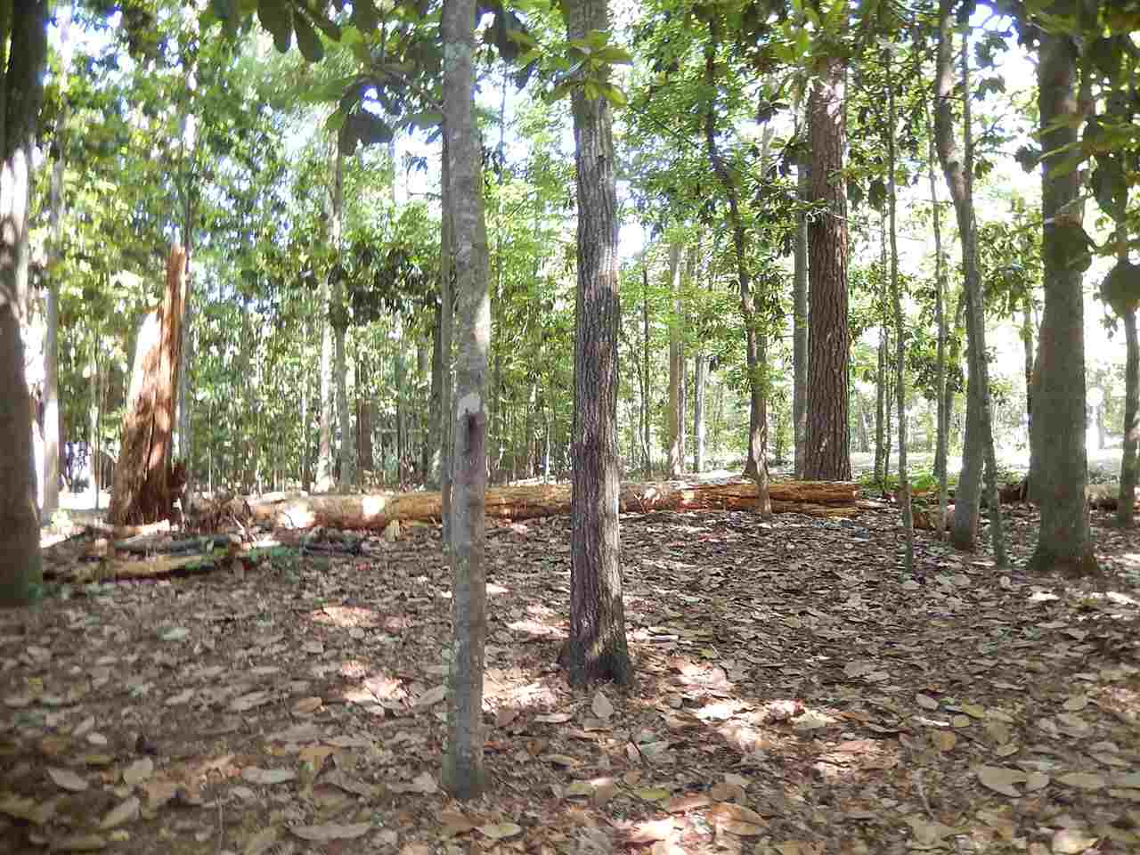 2029 Tallavana, Havana, FL 32333