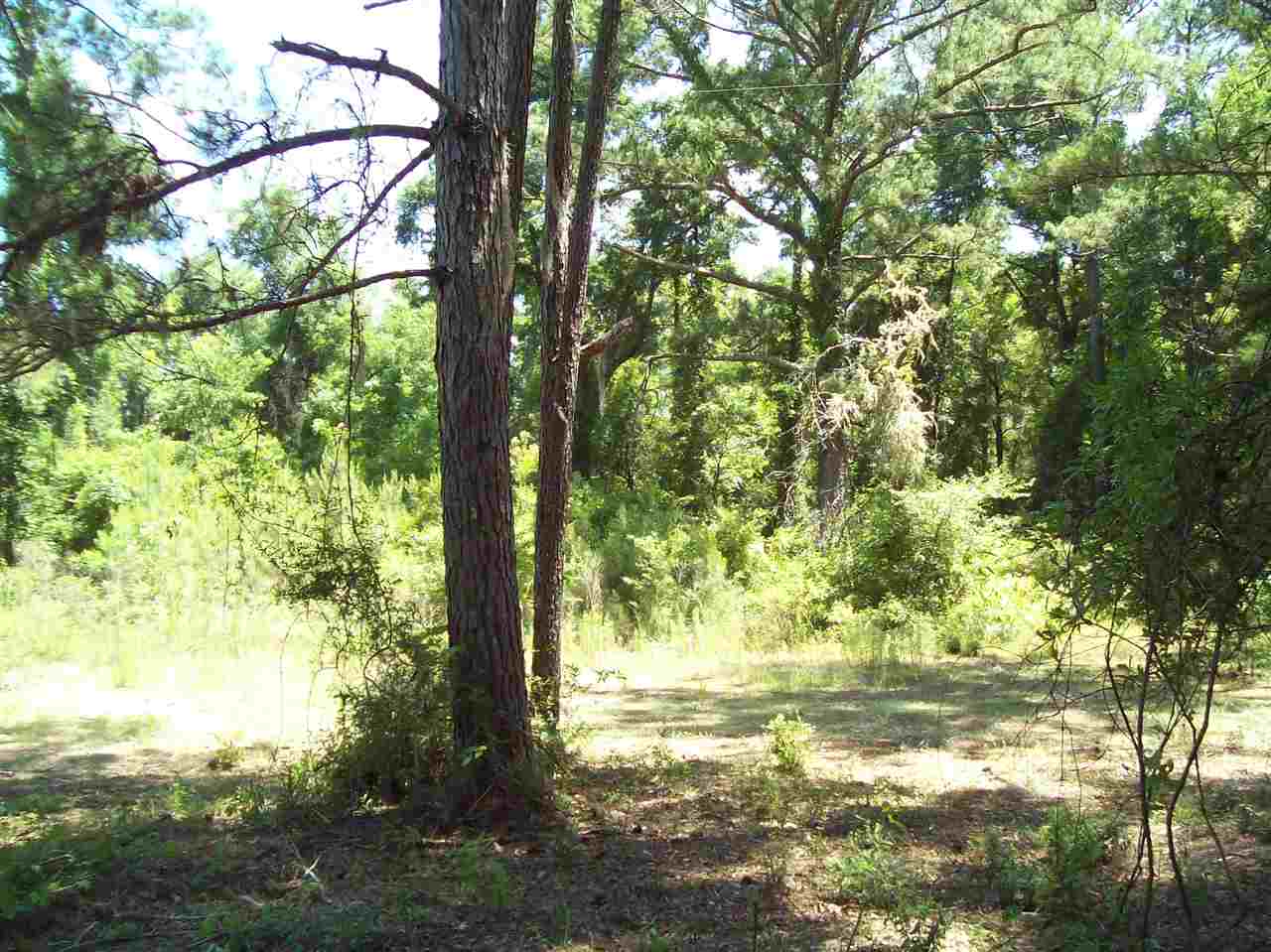 000 Martin Luther King jr, Crawfordville, FL 32333