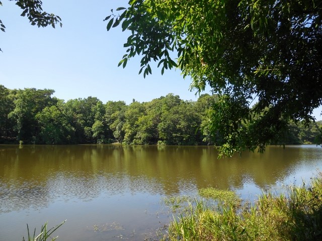 000 Rozena, Gadsden County, FL 32333