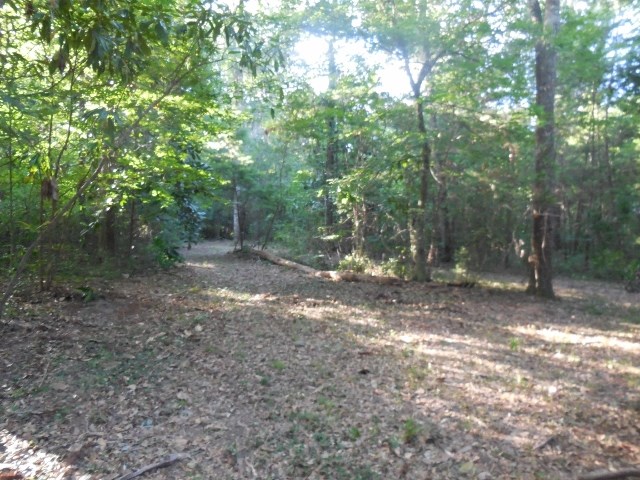 000 Rozena, Gadsden County, FL 32333