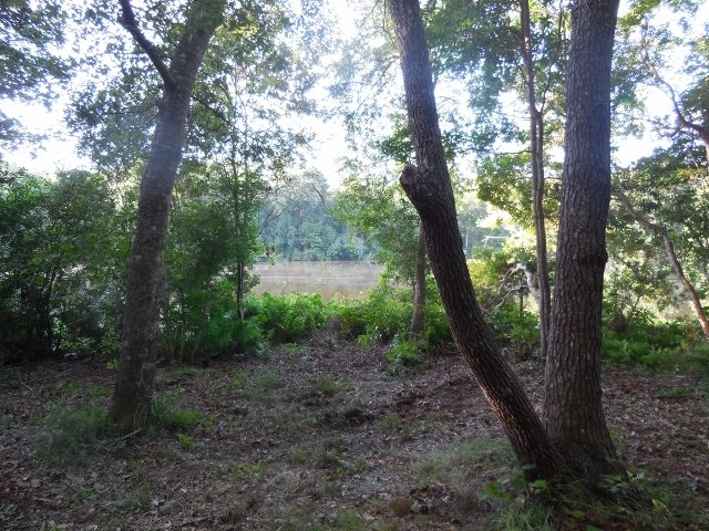 000 Rozena, Gadsden County, FL 32333