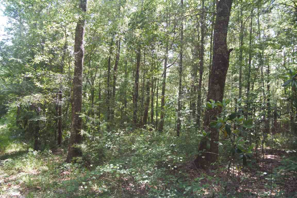 XXXX Blairwood Lane, Midway, FL 32333