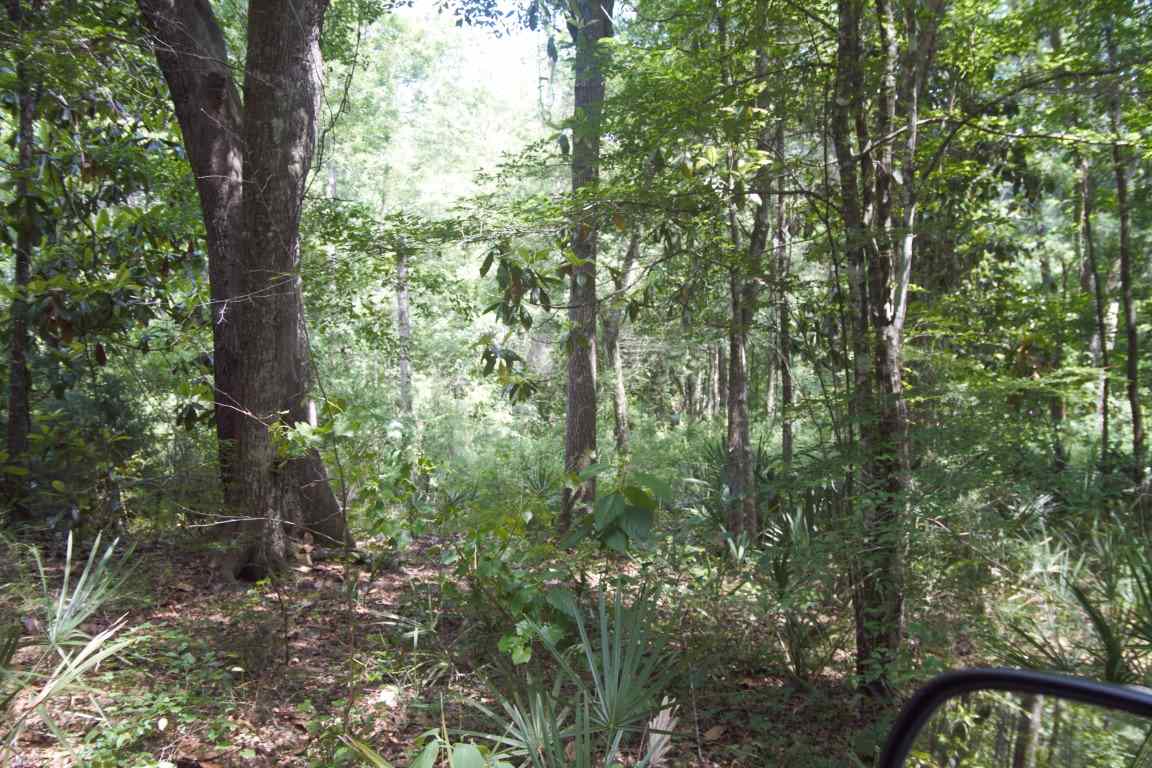 XXXX Blairwood Lane, Midway, FL 32333