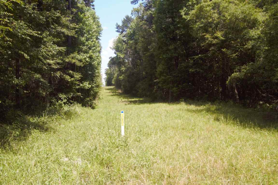XXXX Blairwood Lane, Midway, FL 32333