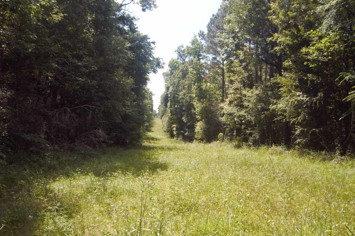 XXXX Blairwood Lane, Midway, FL 32333