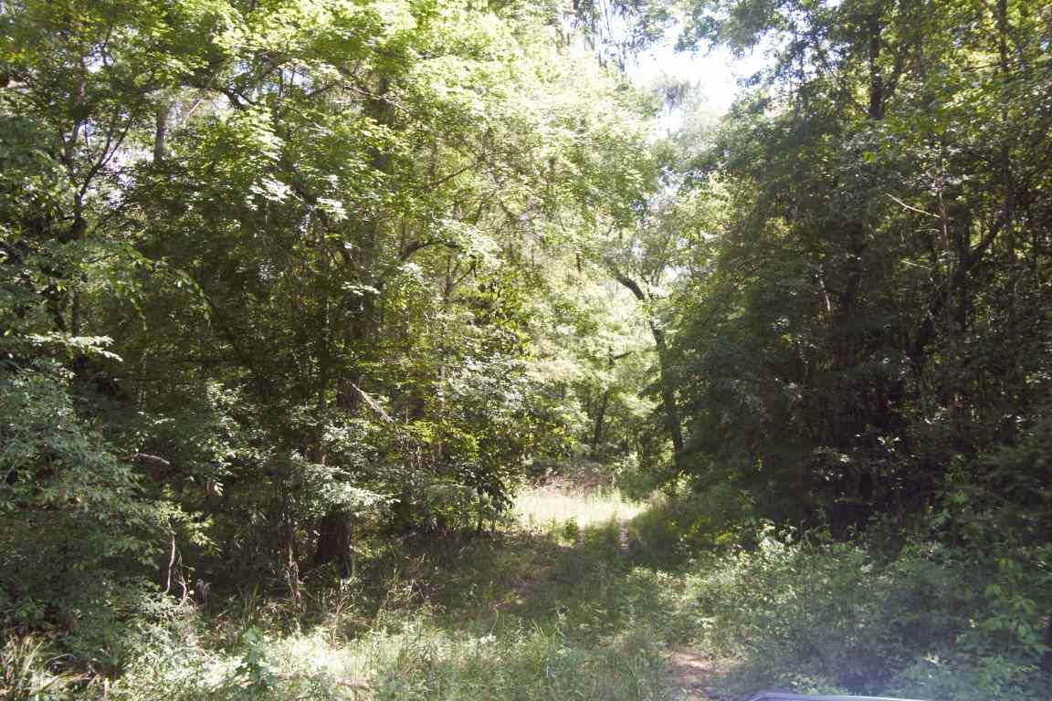 XXXX Blairwood Lane, Midway, FL 32333