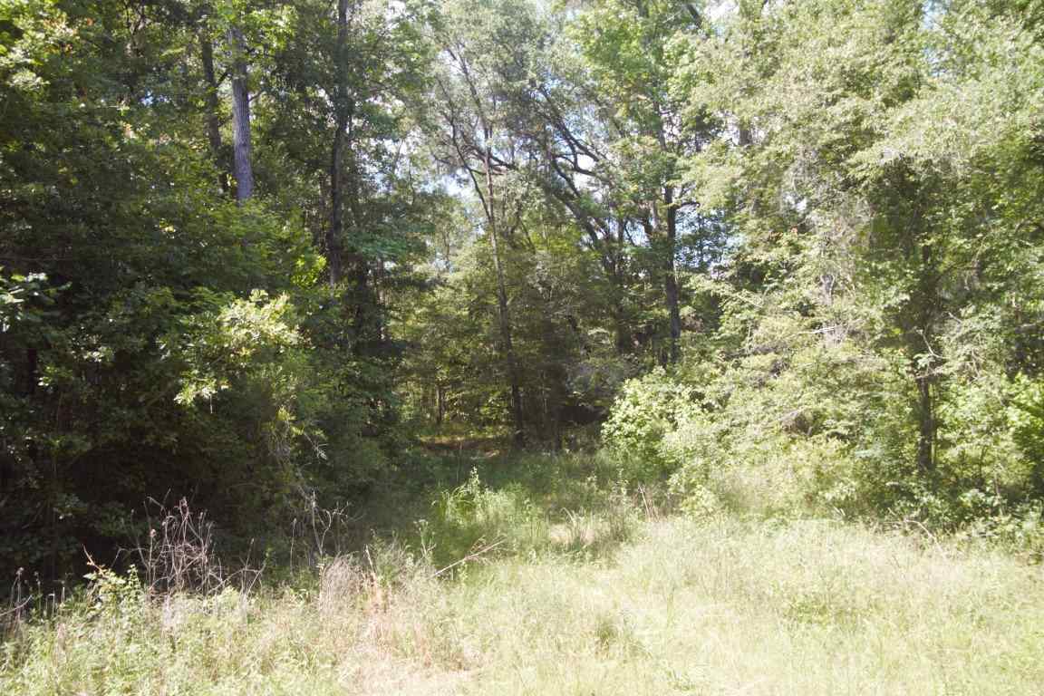 XXXX Blairwood Lane, Midway, FL 32333