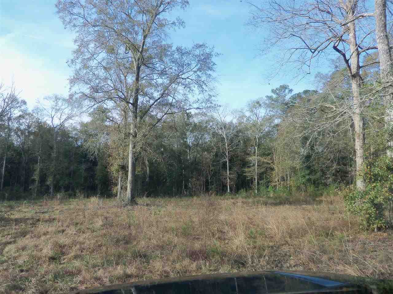 6255 Fairbanks Ferry Rd, Havana, FL 32333