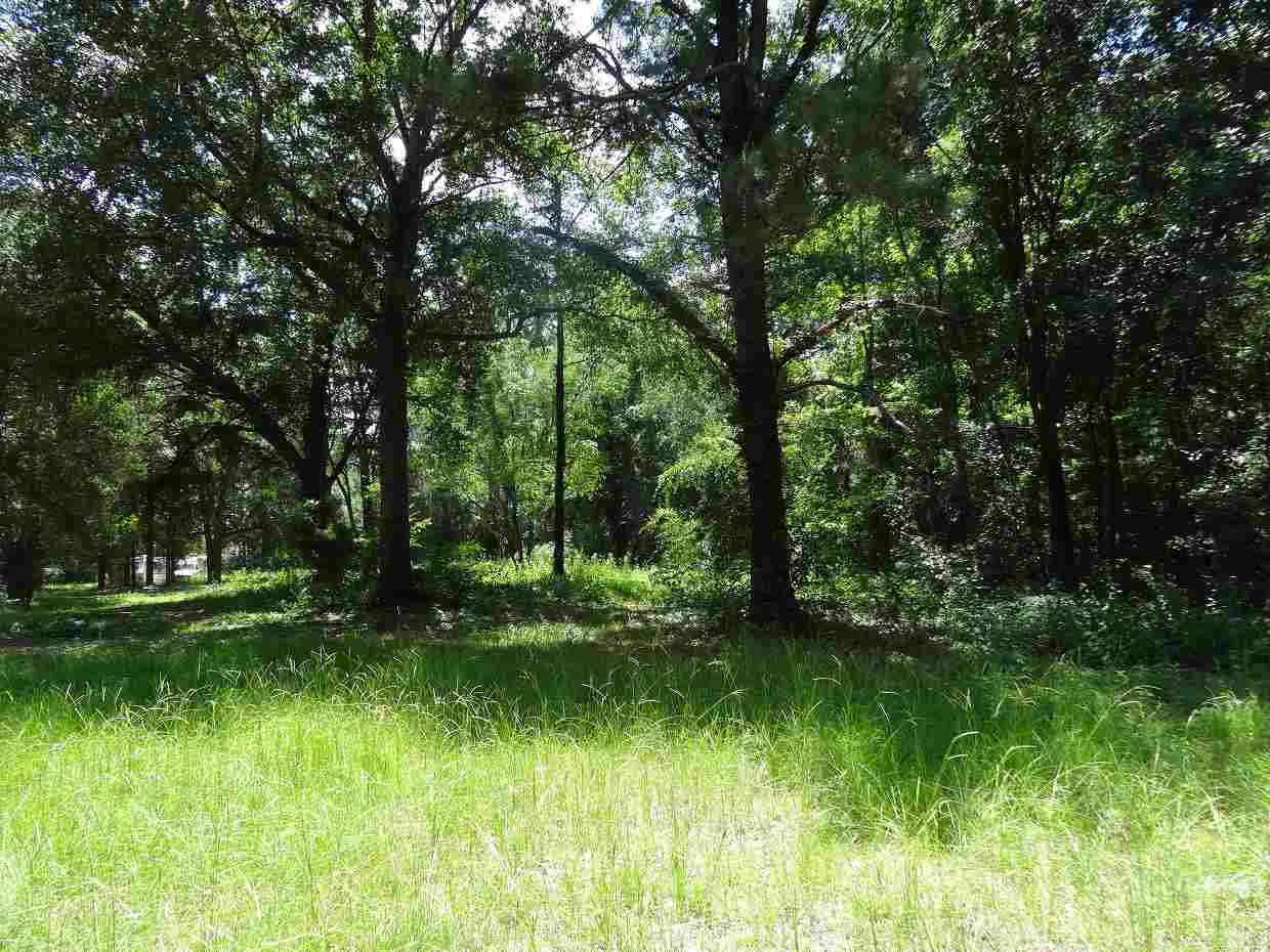 954 Barber Hill, Lamont, FL 32336