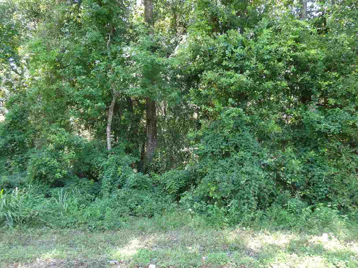 954 Barber Hill, Lamont, FL 32336