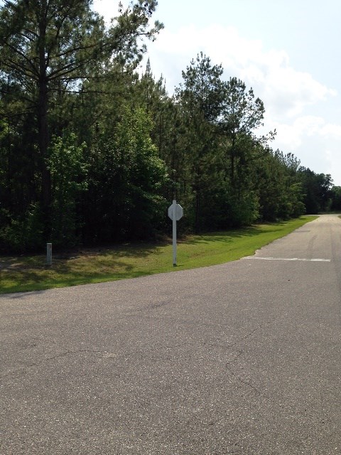 11.17A Cavallo, Lloyd, FL 32337