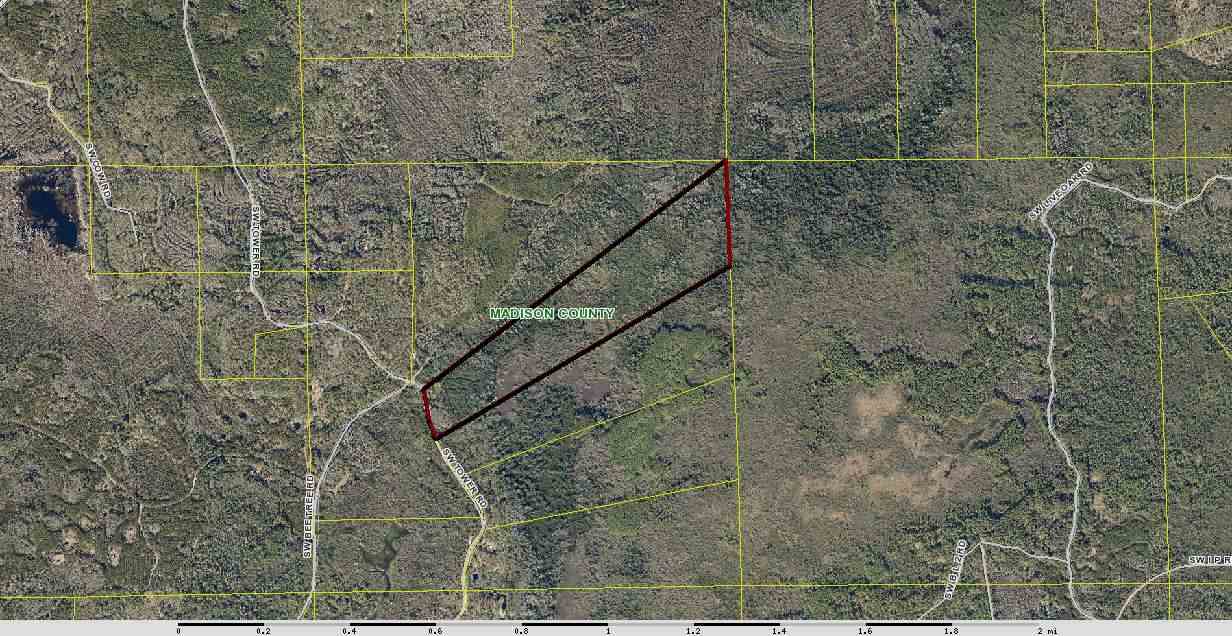 Vacant SW Tower, Madison County, FL 32340