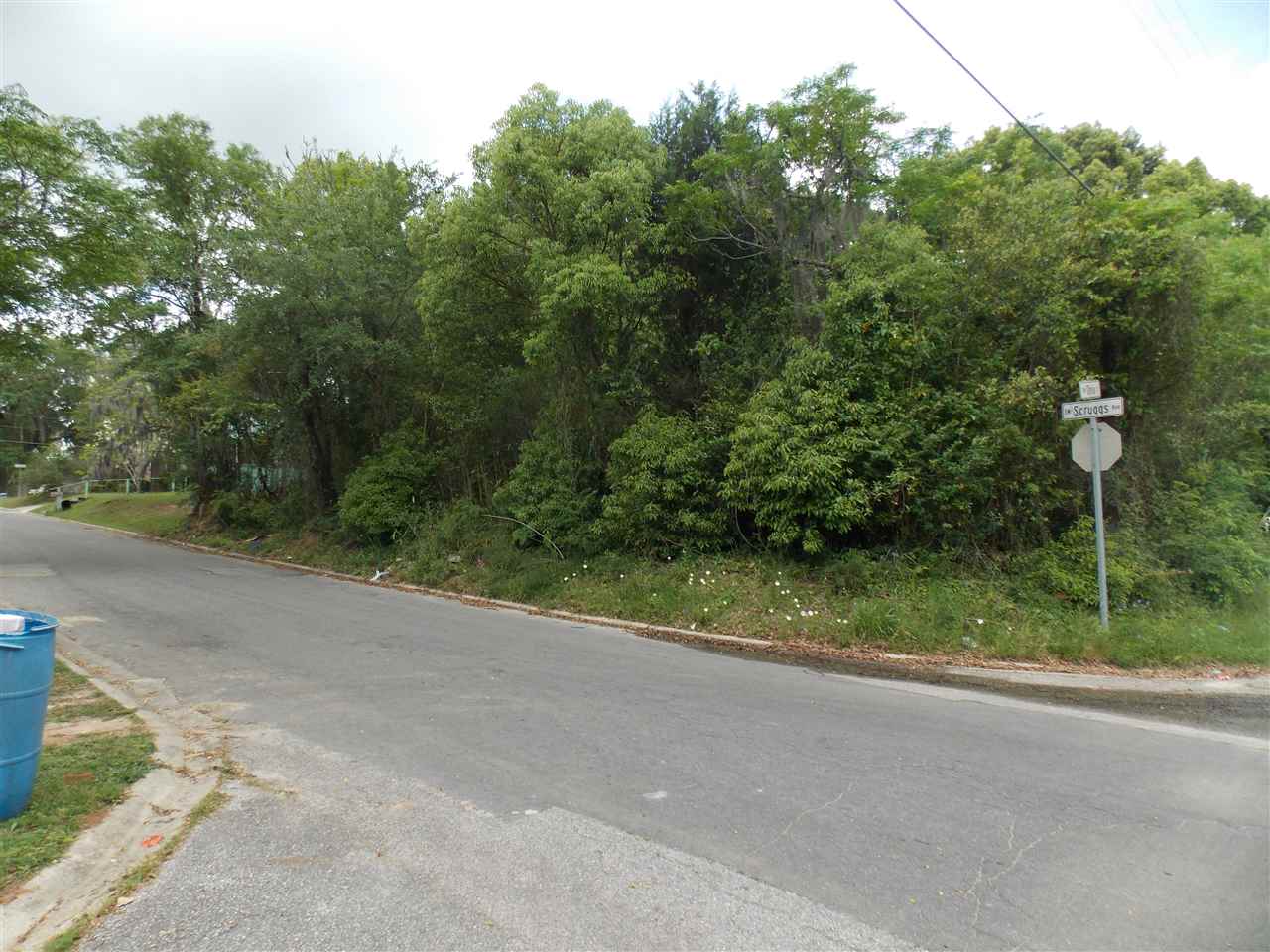 Vacant SW Scruggs Avenue, Madison, FL 32340