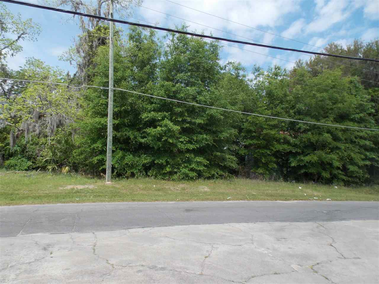 336 SW Parramore, Madison, FL 32340