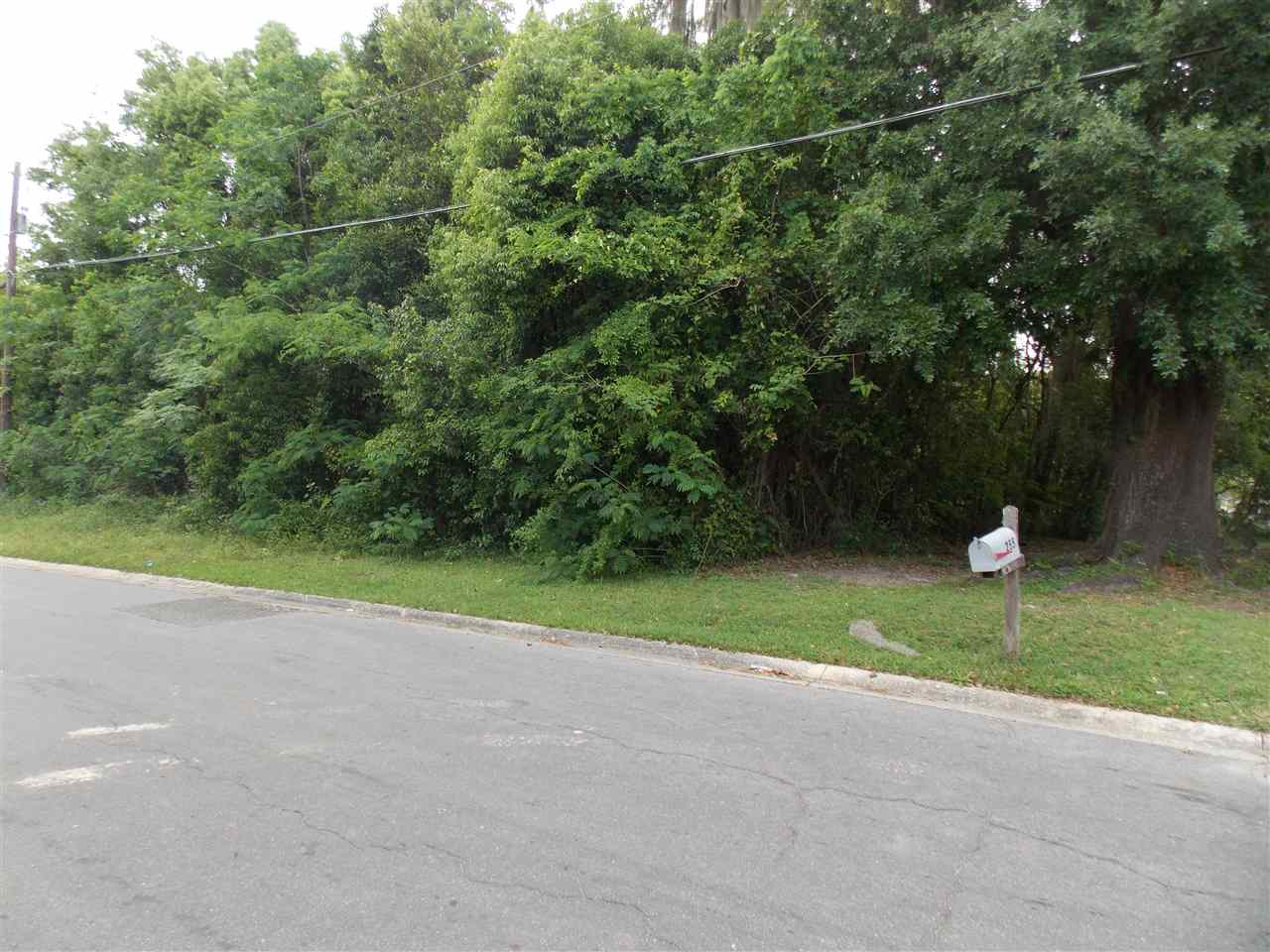 Vacant SW Scruggs Avenue, Madison, FL 32340