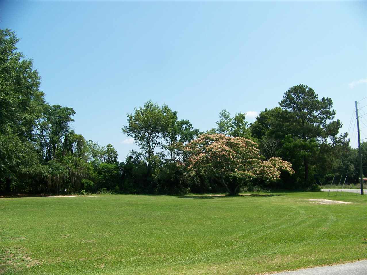 Vacant SW Allandale, Madison, FL 32340