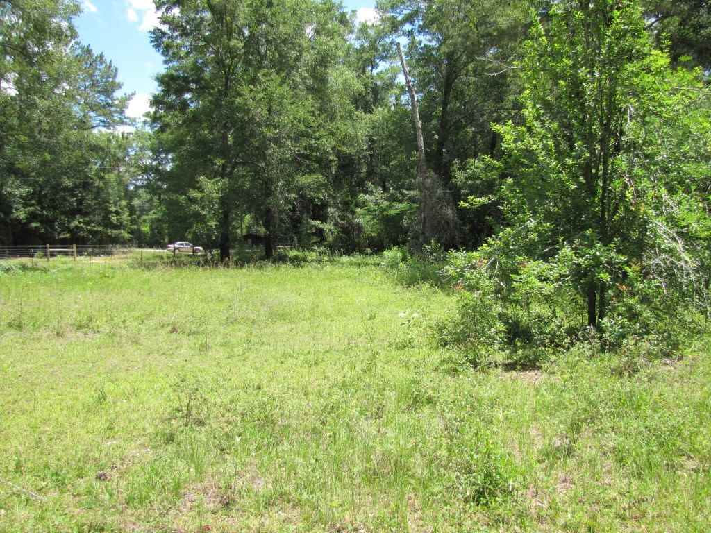 9241 N SR 53, Madison, FL 32340