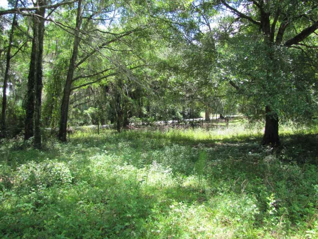 9241 N SR 53, Madison, FL 32340
