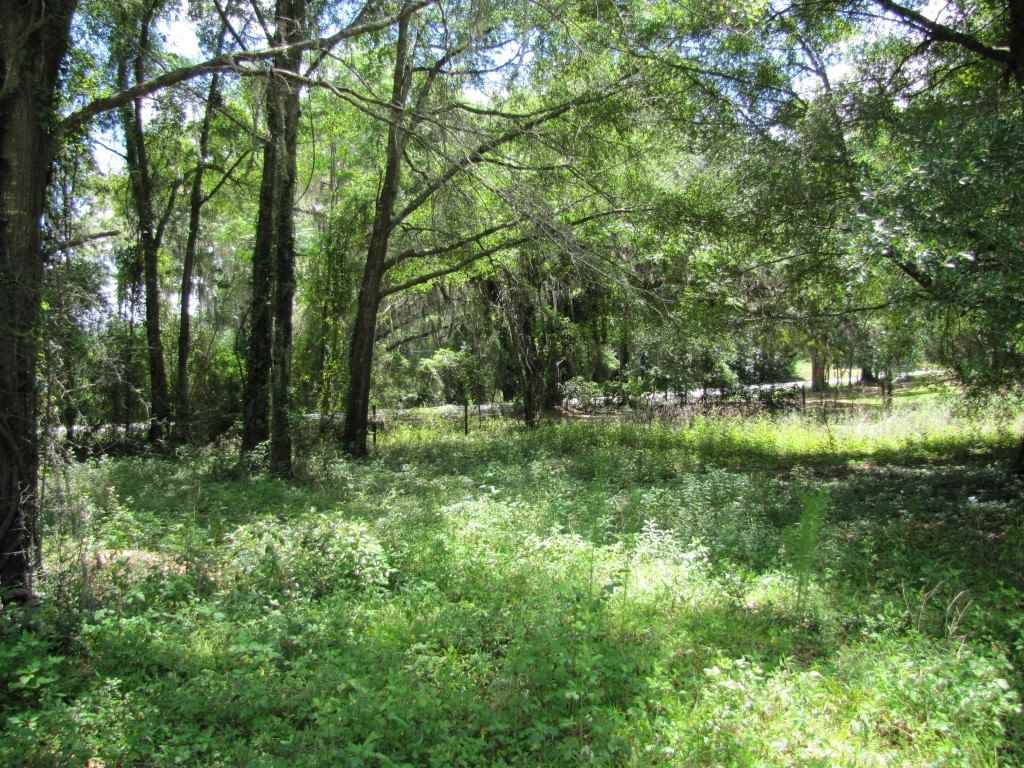 9241 N SR 53, Madison, FL 32340