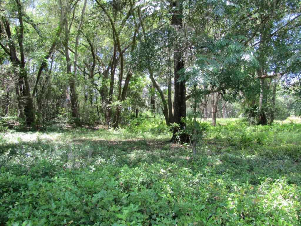 9241 N SR 53, Madison, FL 32340