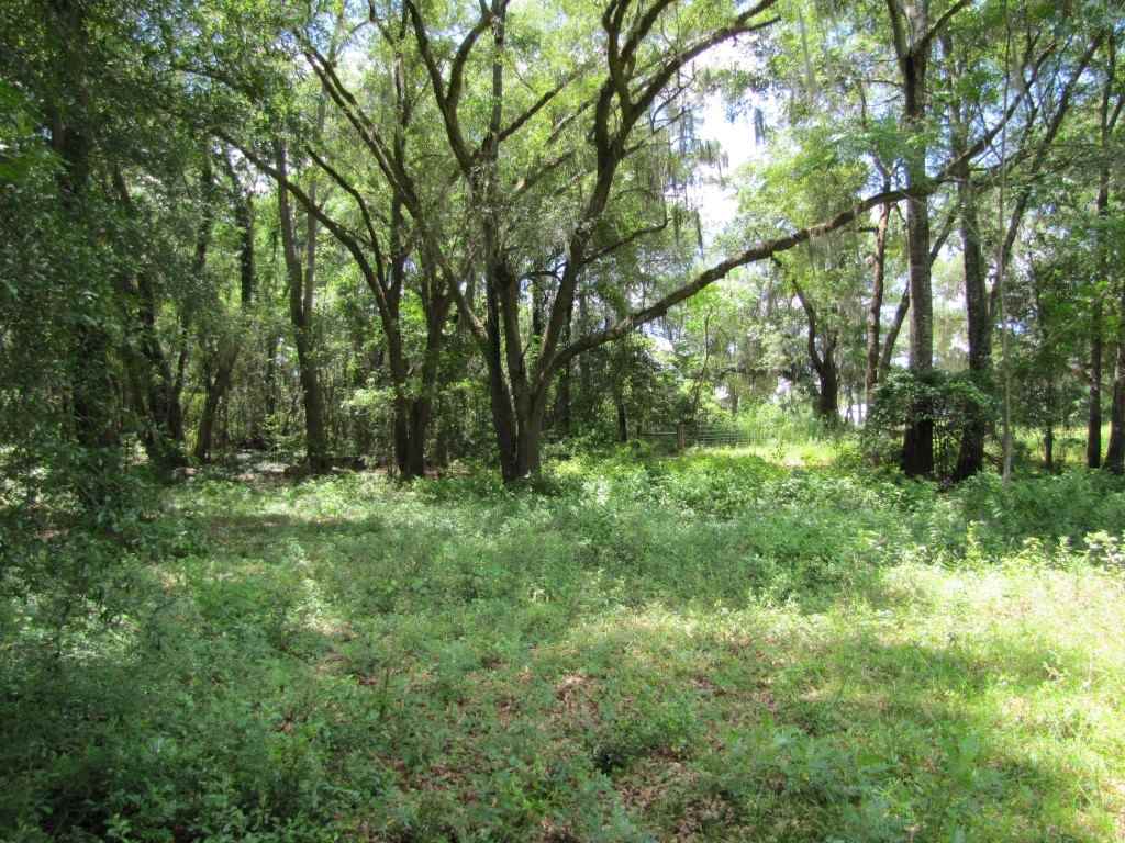 9241 N SR 53, Madison, FL 32340