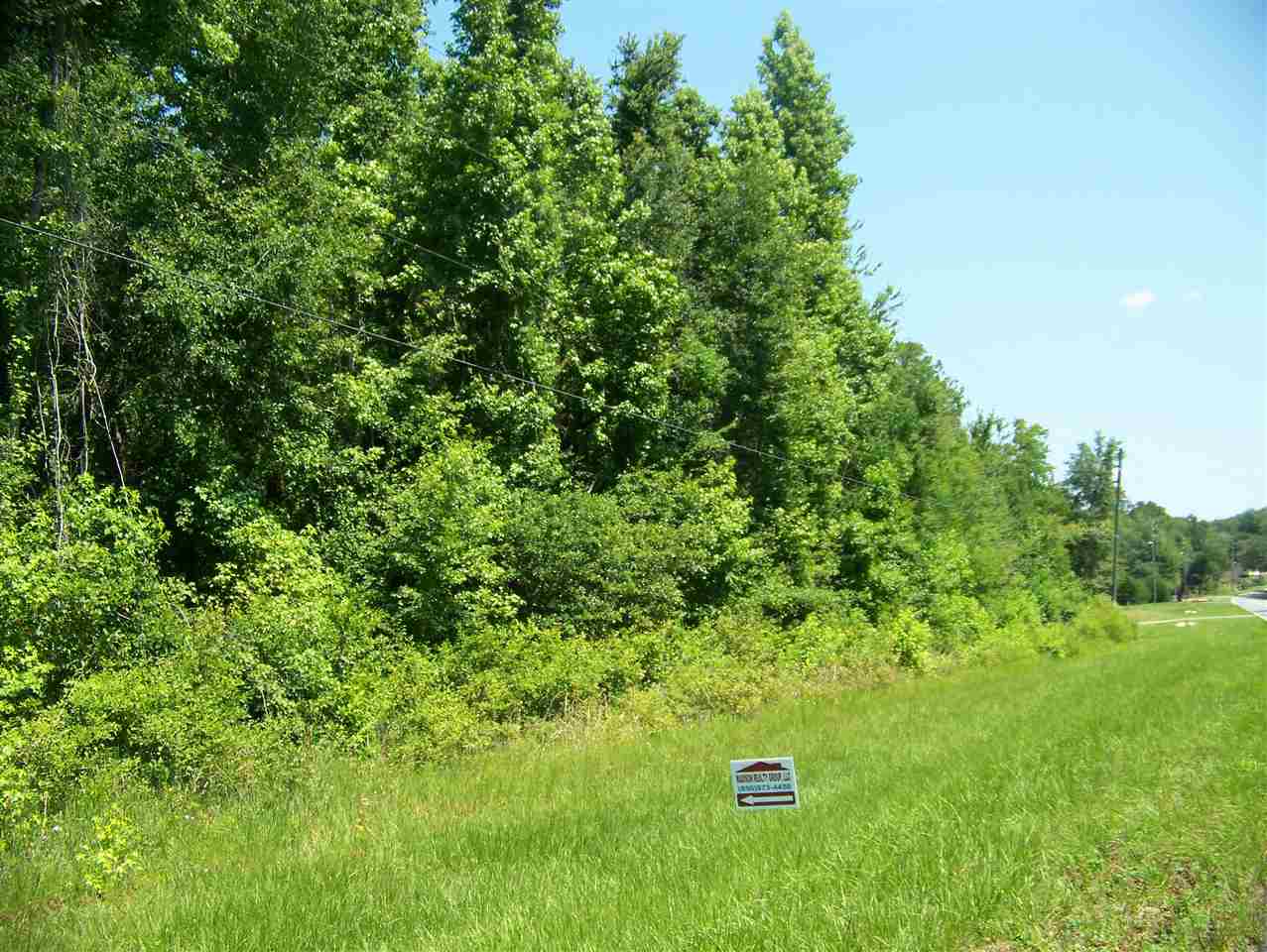 Vacant SW SR 14, Madison, FL 32340
