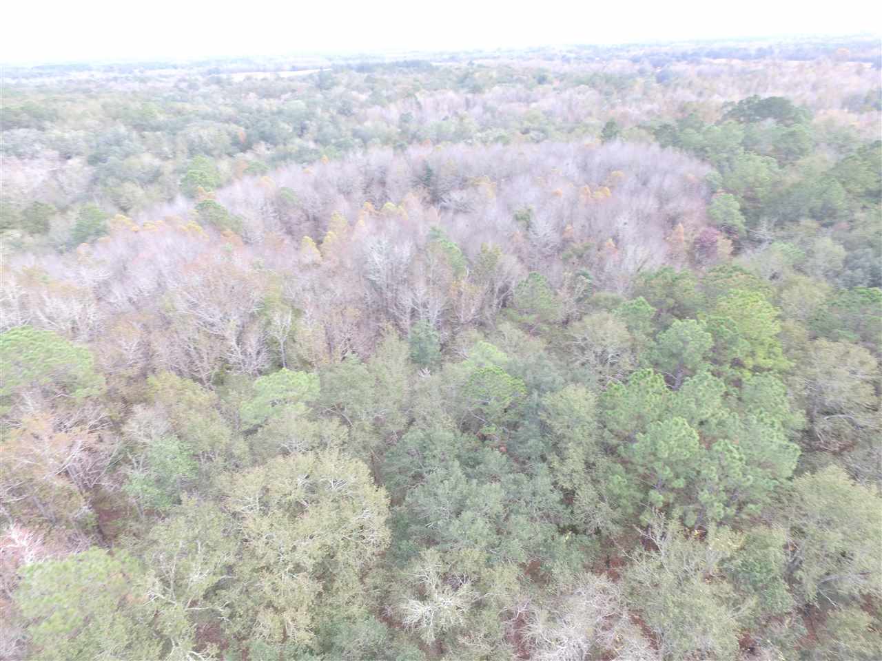 238 Gapac, Madison County, FL 32340