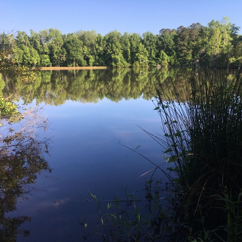 05-1N-4E-0830-0 NONE, Monticello, FL 32344
